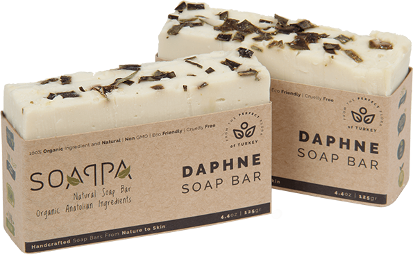 Daphne Soap